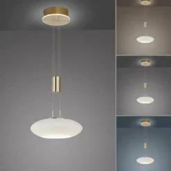 Paul Neuhaus Q-Serie Suspension Paul Neuhaus Q-ETIENNE LED Laiton, 1 lumière, Télécommandes