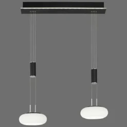 Paul Neuhaus Q-Serie Suspension Paul Neuhaus Q-ETIENNE LED Noir, 2 lumières, Télécommandes