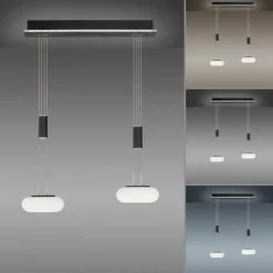 Paul Neuhaus Q-Serie Suspension Paul Neuhaus Q-ETIENNE LED Noir, 2 lumières, Télécommandes