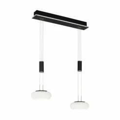 Paul Neuhaus Q-Serie Suspension Paul Neuhaus Q-ETIENNE LED Noir, 2 lumières, Télécommandes