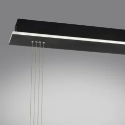 Paul Neuhaus Q-Serie Suspension Paul Neuhaus Q-ETIENNE LED Noir, 2 lumières, Télécommandes