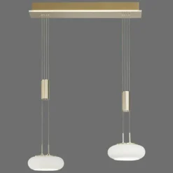 Paul Neuhaus Q-Serie Suspension Paul Neuhaus Q-ETIENNE LED Laiton, 2 lumières, Télécommandes