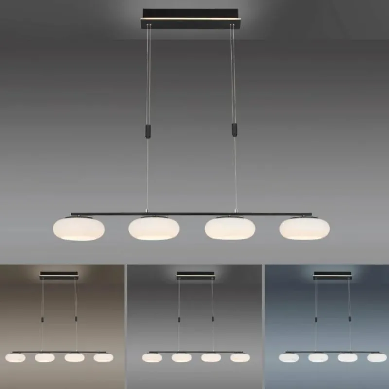 Paul Neuhaus Q-Serie Suspension Paul Neuhaus Q-ETIENNE LED Noir, 4 lumières, Télécommandes