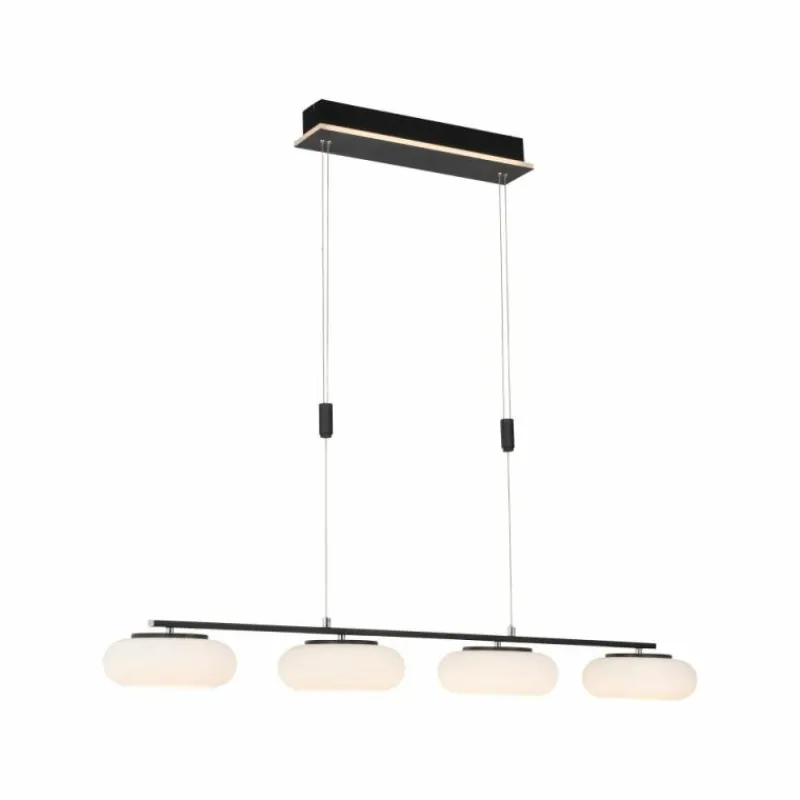 Paul Neuhaus Q-Serie Suspension Paul Neuhaus Q-ETIENNE LED Noir, 4 lumières, Télécommandes