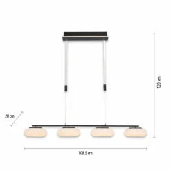 Paul Neuhaus Q-Serie Suspension Paul Neuhaus Q-ETIENNE LED Noir, 4 lumières, Télécommandes