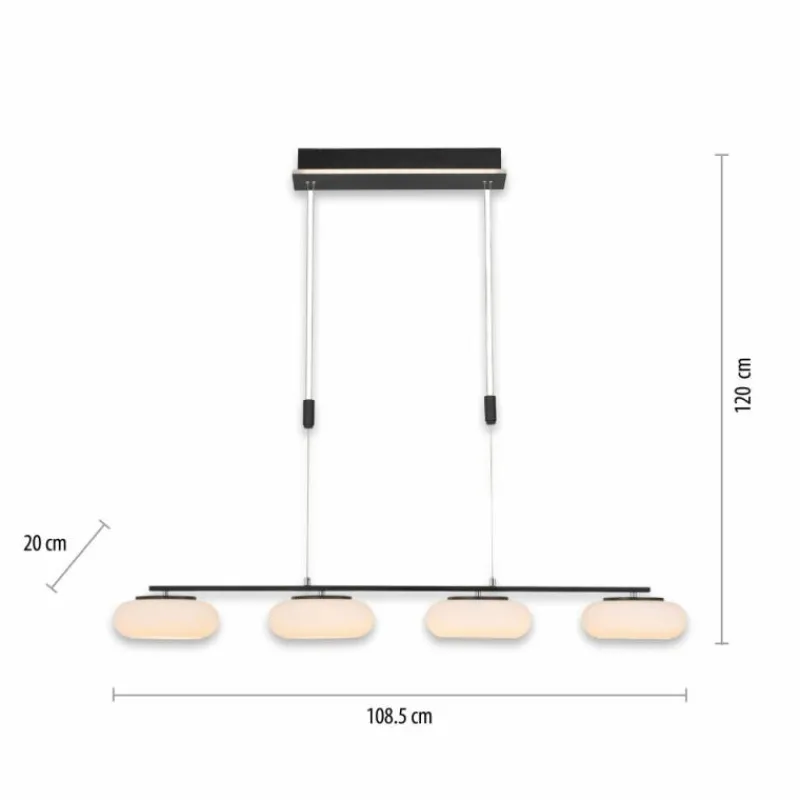 Paul Neuhaus Q-Serie Suspension Paul Neuhaus Q-ETIENNE LED Noir, 4 lumières, Télécommandes