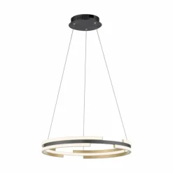 Paul Neuhaus Q-Serie Suspension Paul Neuhaus Q-BELUGA LED Or, 1 lumière, Télécommandes