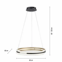 Paul Neuhaus Q-Serie Suspension Paul Neuhaus Q-BELUGA LED Or, 1 lumière, Télécommandes