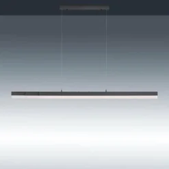 Luminaires Paul Neuhaus Suspension Paul Neuhaus SINA LED Noir, 3 lumières* Éclairage Led