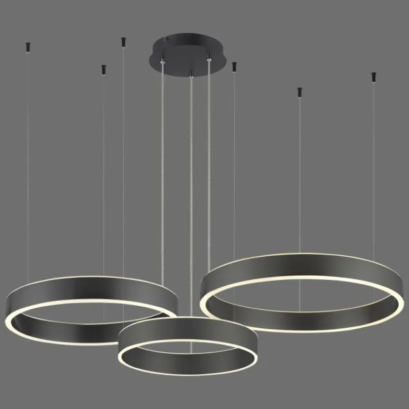 Luminaires Paul Neuhaus Suspension Paul Neuhaus SCULLI LED Noir, 2 lumières* Suspensions