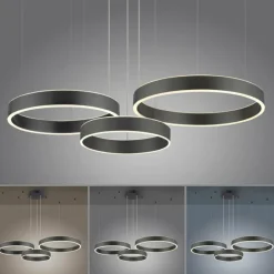Luminaires Paul Neuhaus Suspension Paul Neuhaus SCULLI LED Noir, 2 lumières* Suspensions