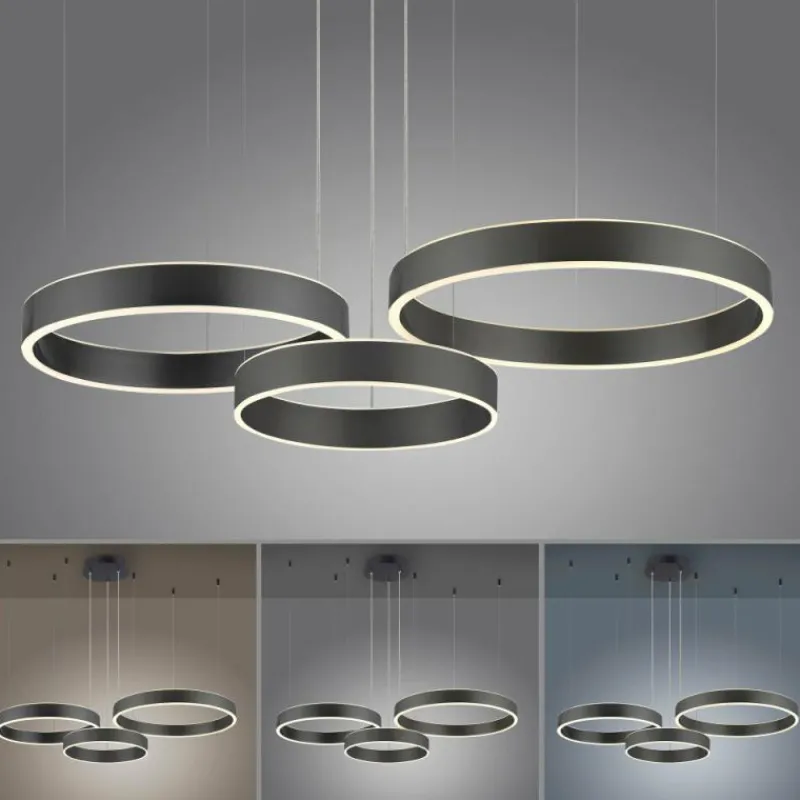 Luminaires Paul Neuhaus Suspension Paul Neuhaus SCULLI LED Noir, 2 lumières* Suspensions