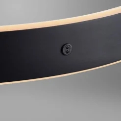 Luminaires Paul Neuhaus Suspension Paul Neuhaus SCULLI LED Noir, 2 lumières* Suspensions