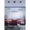 Luminaires Paul Neuhaus Suspension Paul Neuhaus TITUS LED Anthracite, 1 lumière* Suspensions