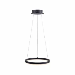 Luminaires Paul Neuhaus Suspension Paul Neuhaus TITUS LED Anthracite, 1 lumière* Suspensions