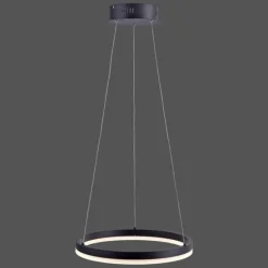 Luminaires Paul Neuhaus Suspension Paul Neuhaus TITUS LED Anthracite, 1 lumière* Suspensions