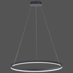 Luminaires Paul Neuhaus Suspension Paul Neuhaus TITUS LED Anthracite, 1 lumière* Éclairage Led