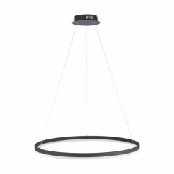 Luminaires Paul Neuhaus Suspension Paul Neuhaus TITUS LED Anthracite, 1 lumière* Éclairage Led