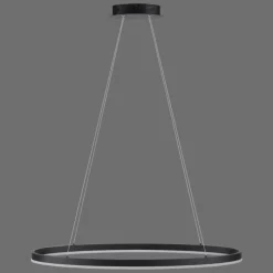 Luminaires Paul Neuhaus Suspension Paul Neuhaus TITUS LED Anthracite, 1 lumière* Éclairage Led