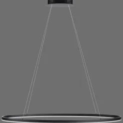 Luminaires Paul Neuhaus Suspension Paul Neuhaus TITUS LED Anthracite, 1 lumière* Éclairage Led