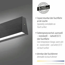 Luminaires Paul Neuhaus Suspension Paul-Neuhaus NANIA LED Gris, 1 lumière* Suspensions