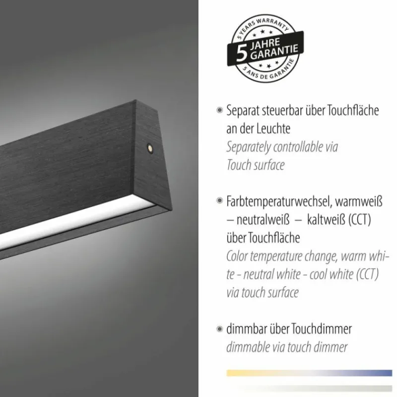 Luminaires Paul Neuhaus Suspension Paul-Neuhaus NANIA LED Gris, 1 lumière* Suspensions