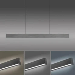 Luminaires Paul Neuhaus Suspension Paul-Neuhaus NANIA LED Gris, 1 lumière* Suspensions