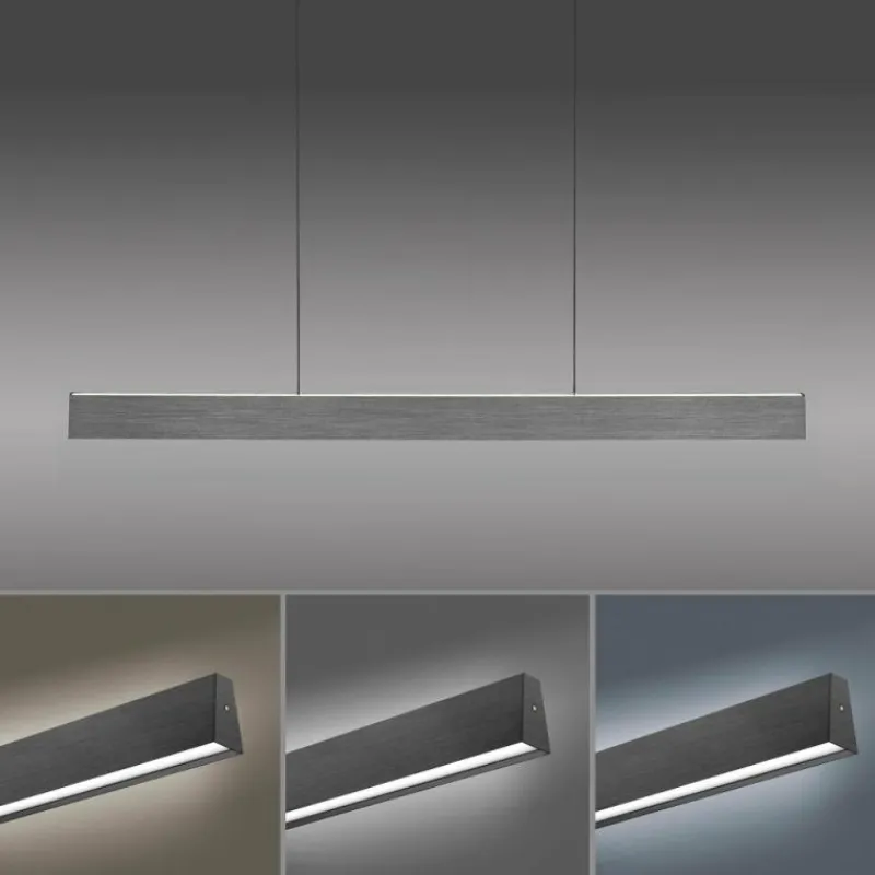 Luminaires Paul Neuhaus Suspension Paul-Neuhaus NANIA LED Gris, 1 lumière* Suspensions