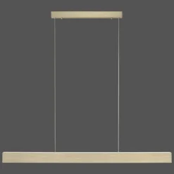 Lampes Dorées-Luminaires Paul Neuhaus Suspension Paul-Neuhaus NANIA LED Or, 1 lumière