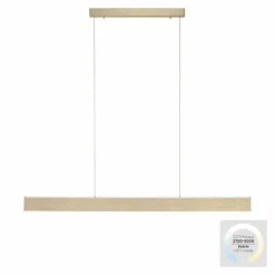 Lampes Dorées-Luminaires Paul Neuhaus Suspension Paul-Neuhaus NANIA LED Or, 1 lumière