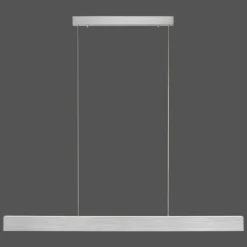 Luminaires Paul Neuhaus Suspension Paul-Neuhaus NANIA LED Argenté, 1 lumière* Suspensions