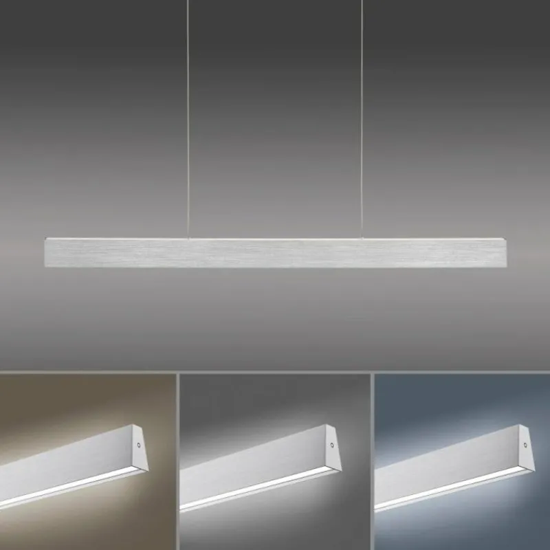 Luminaires Paul Neuhaus Suspension Paul-Neuhaus NANIA LED Argenté, 1 lumière* Suspensions