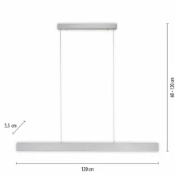 Luminaires Paul Neuhaus Suspension Paul-Neuhaus NANIA LED Argenté, 1 lumière* Suspensions