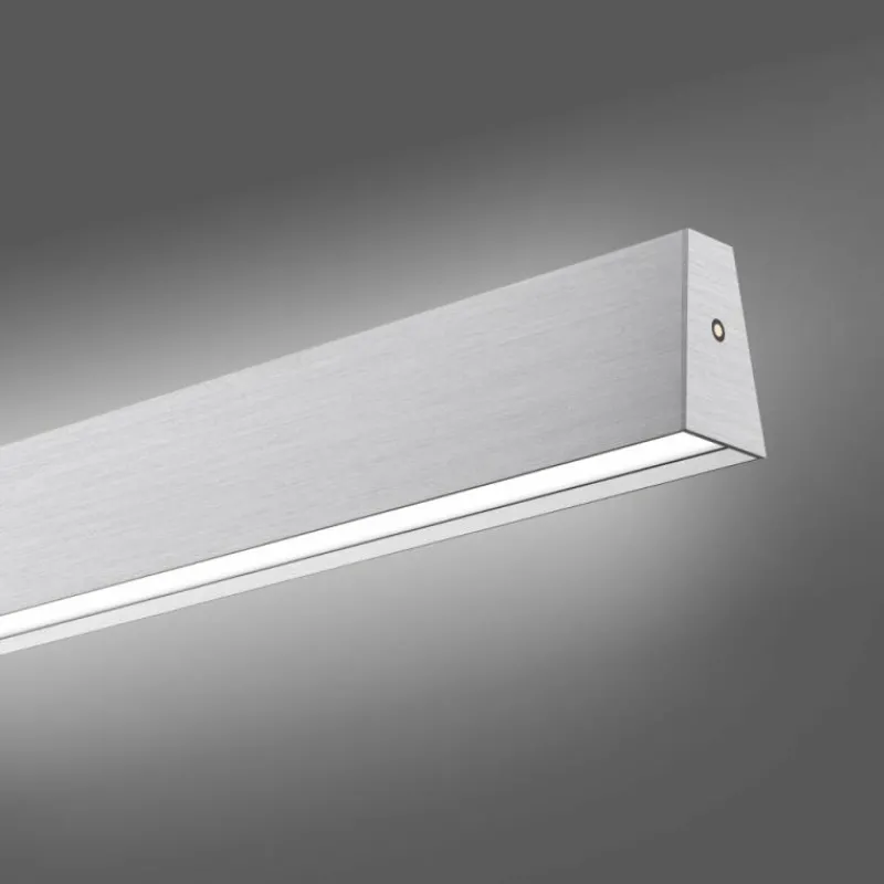 Luminaires Paul Neuhaus Suspension Paul-Neuhaus NANIA LED Argenté, 1 lumière* Suspensions