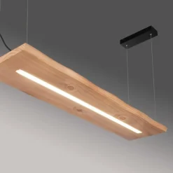 Lampes En Bois-Luminaires Paul Neuhaus Suspension Paul-Neuhaus PALMA LED Écru, Noir, 1 lumière, Télécommandes