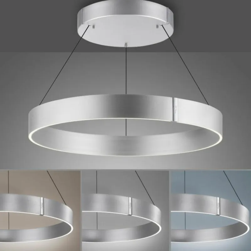 Luminaires Paul Neuhaus Suspension Paul-Neuhaus PURE E-CLIPSE LED Argenté, 2 lumières, Télécommandes* Éclairage Led