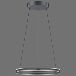 Luminaires Paul Neuhaus Suspension Paul-Neuhaus PURE E-LOOP LED Gris, 2 lumières, Télécommandes* Éclairage Led