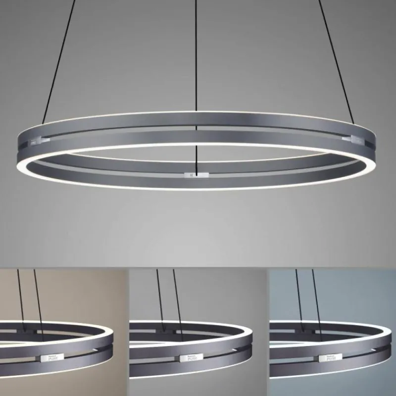 Luminaires Paul Neuhaus Suspension Paul-Neuhaus PURE E-LOOP LED Gris, 2 lumières, Télécommandes* Éclairage Led