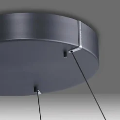 Luminaires Paul Neuhaus Suspension Paul-Neuhaus PURE E-LOOP LED Gris, 2 lumières, Télécommandes* Éclairage Led