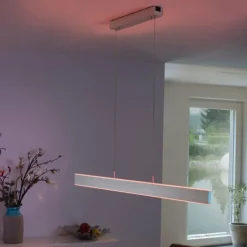 Paul Neuhaus Q-Serie Suspension Paul-Neuhaus Q-ADRIANA LED Aluminium, 2 lumières, Télécommandes