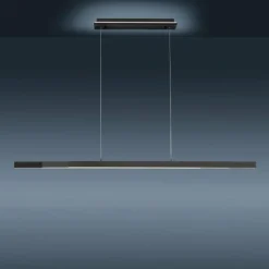 Paul Neuhaus Q-Serie Suspension Paul-Neuhaus Q-ARIAN LED Anthracite, 4 lumières, Télécommandes