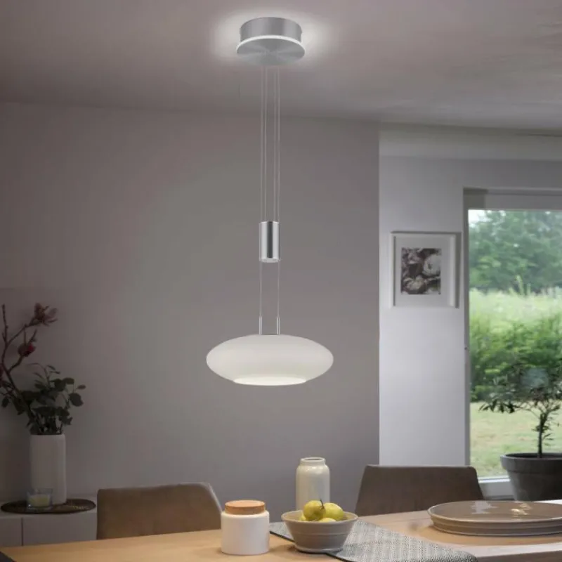 Paul Neuhaus Q-Serie Suspension Paul-Neuhaus Q-ETIENNE LED Acier brossé, 2 lumières, Télécommandes