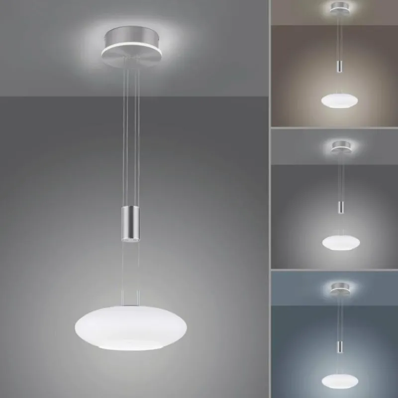 Paul Neuhaus Q-Serie Suspension Paul-Neuhaus Q-ETIENNE LED Acier brossé, 2 lumières, Télécommandes