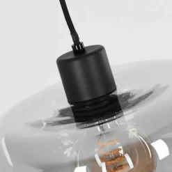 Suspension Verre Fumé-hofstein Suspension Pedreles Noir, 1 lumière