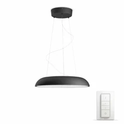 Luminaires Philips Suspension Philips Hue Ambiance White Amaze LED Noir, 1 lumière, Télécommandes
