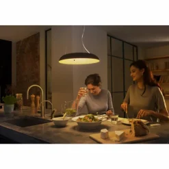 Luminaires Philips Suspension Philips Hue Ambiance White Amaze LED Noir, 1 lumière, Télécommandes