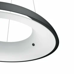 Luminaires Philips Suspension Philips Hue Ambiance White Amaze LED Noir, 1 lumière, Télécommandes