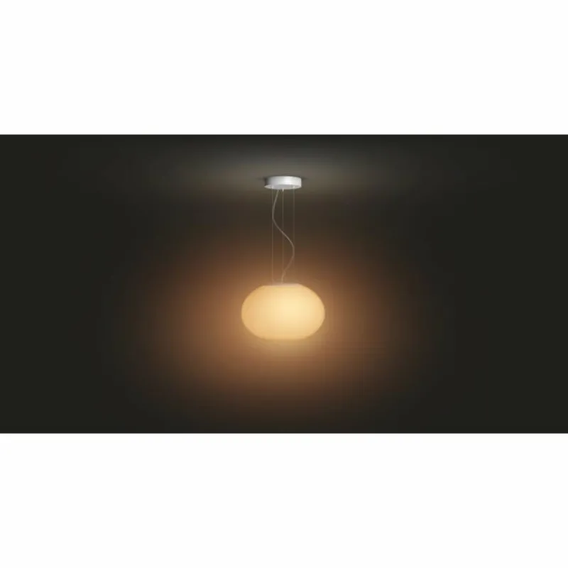 Luminaires Philips Suspension Philips Hue Ambiance White & Color Flourish LED Blanc, 1 lumière, Changeur de couleurs