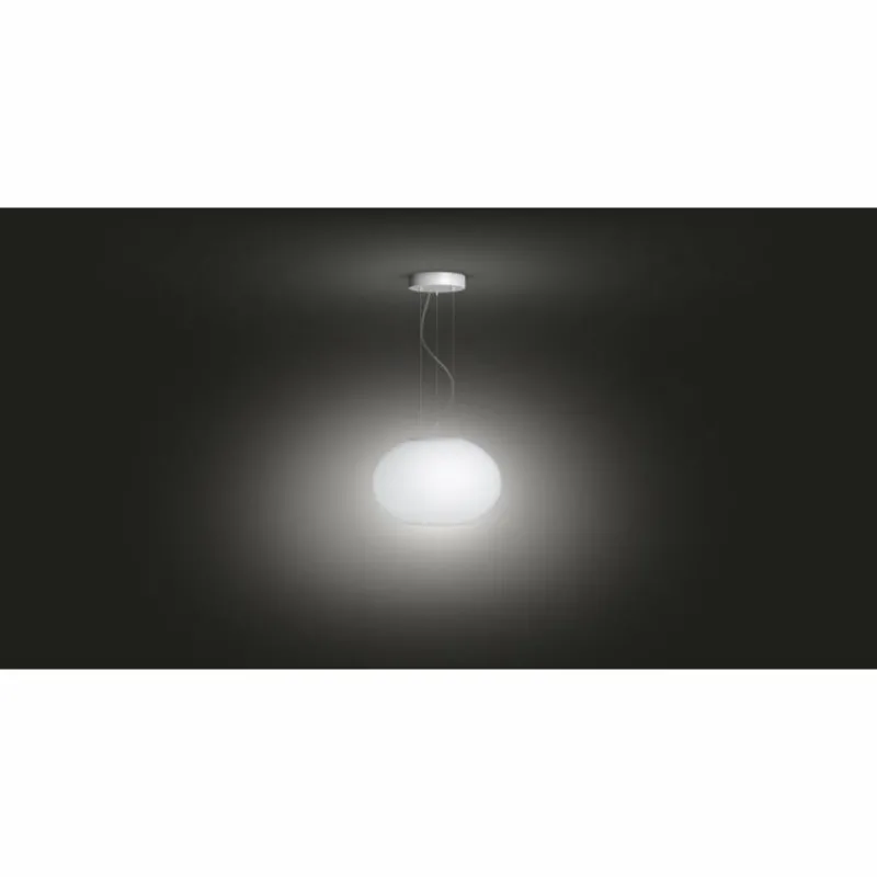 Luminaires Philips Suspension Philips Hue Ambiance White & Color Flourish LED Blanc, 1 lumière, Changeur de couleurs