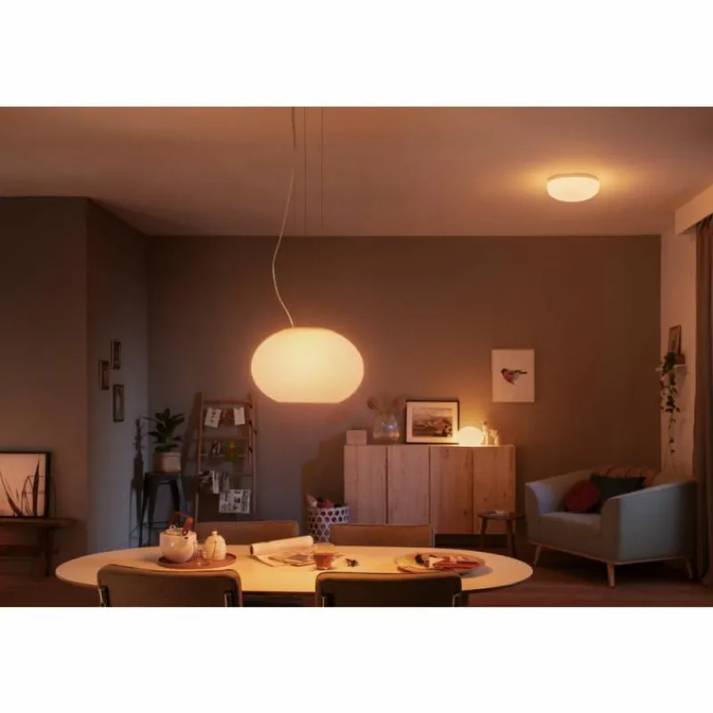Luminaires Philips Suspension Philips Hue Ambiance White & Color Flourish LED Blanc, 1 lumière, Changeur de couleurs